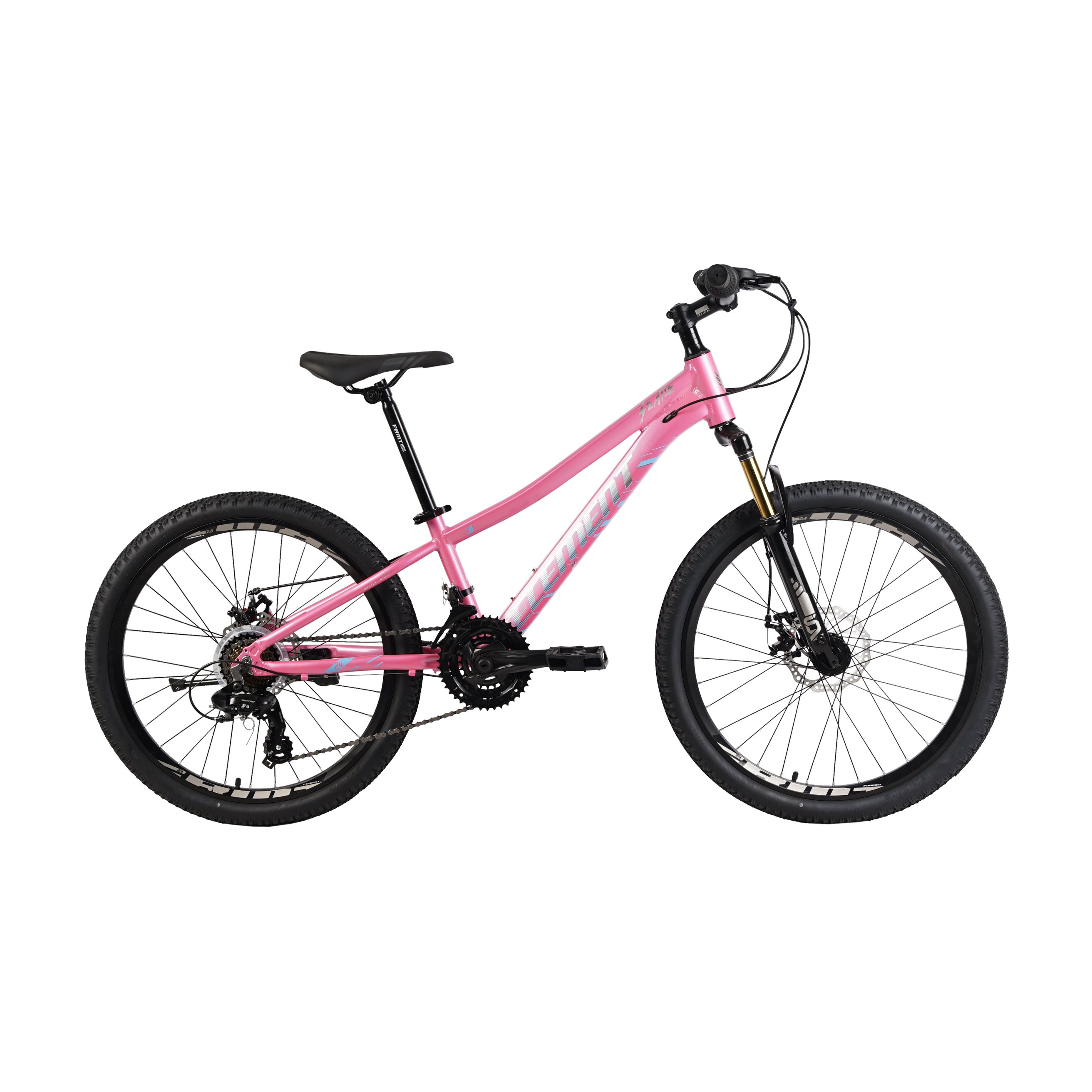 Element MTB Seatle 21 Sp 24 Inch